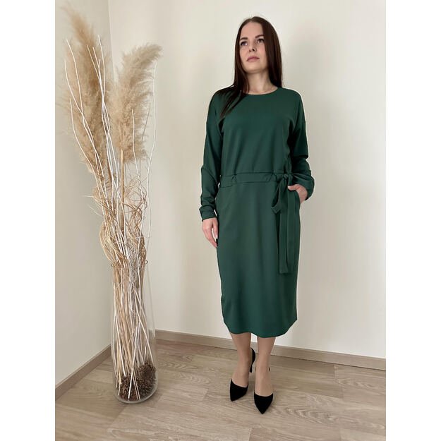 Žalios spalvos elegantiška suknelė 1