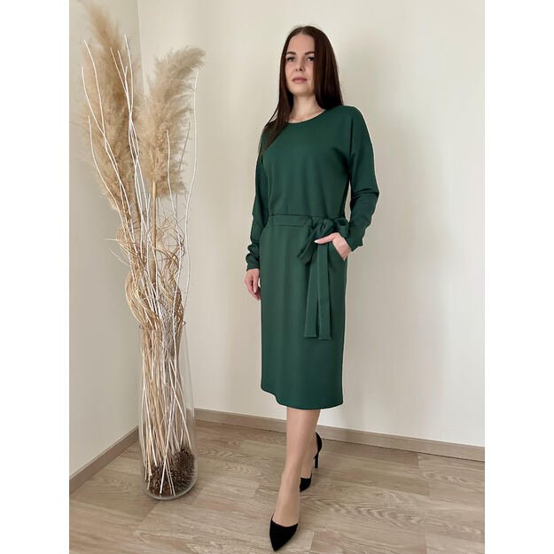 Žalios spalvos elegantiška suknelė 2